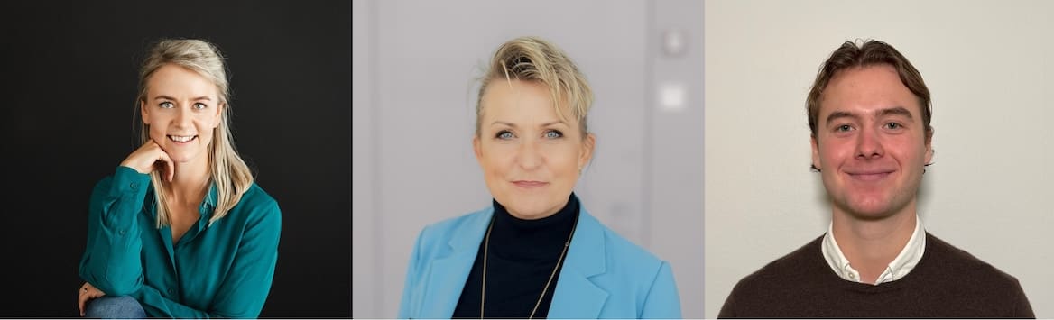 hallituksen